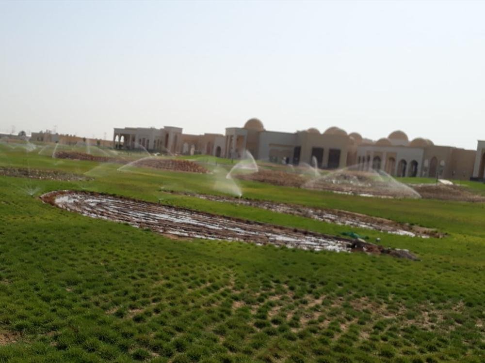 Landscaping in Qatar